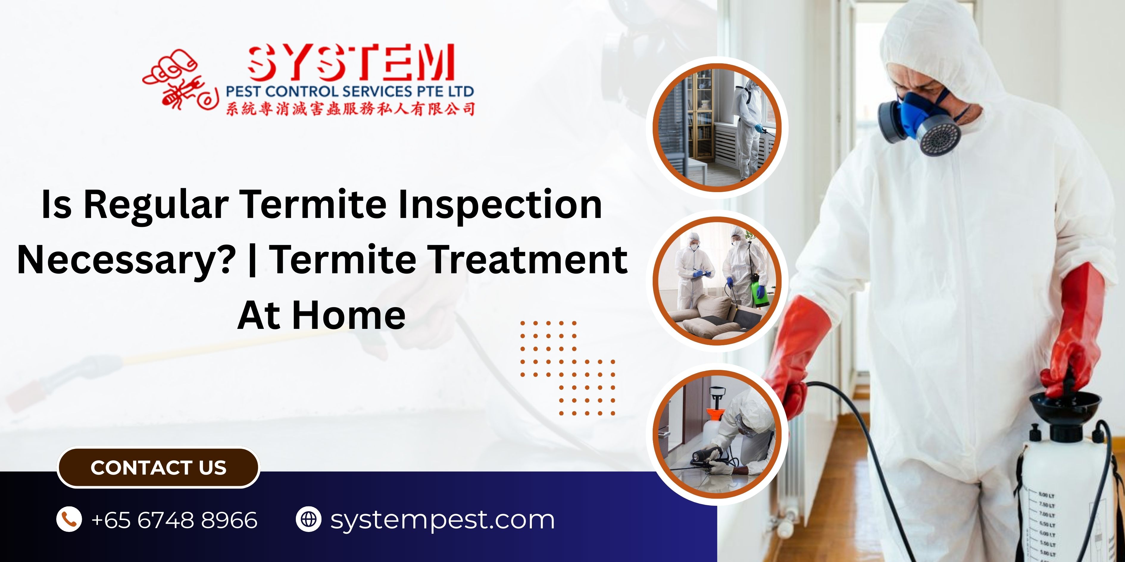 Is Regular Termite Inspection Necessary? | Termite Treatment At Home